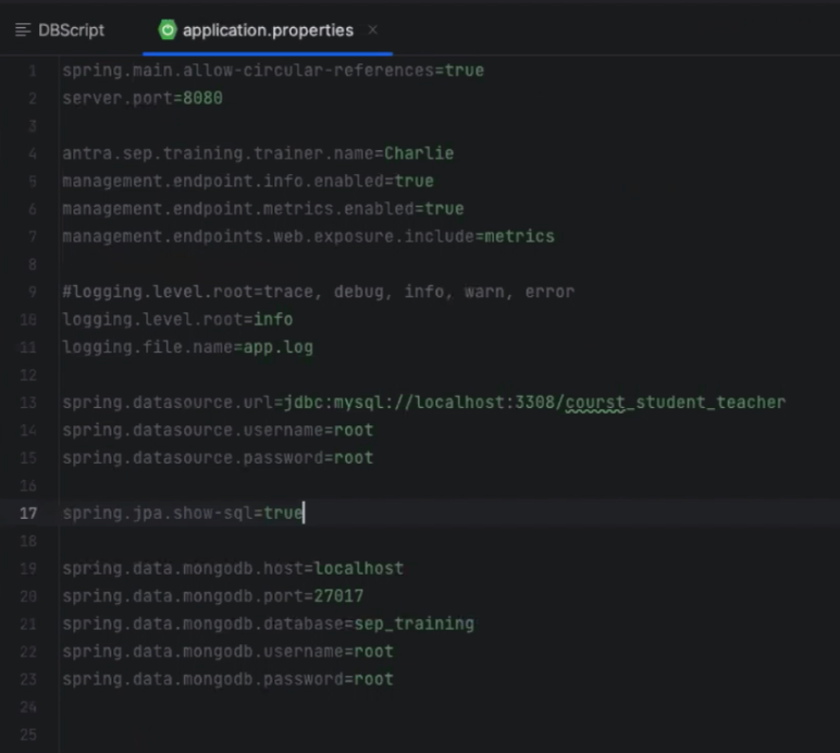 application.properties
